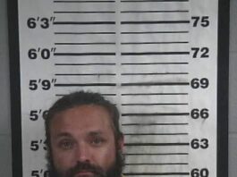 Recovered stolen vehicle leads to arrest in Cullman