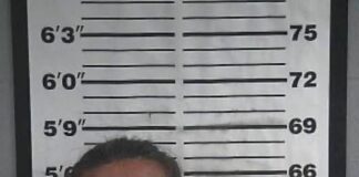 Recovered stolen vehicle leads to arrest in Cullman