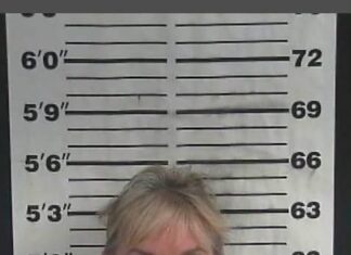 Sara Baker ordered back to jail, enters pleas of not guilty by reason of mental disease or defect