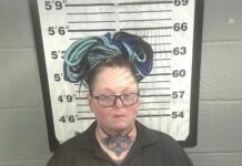 Cullman County woman facing animal cruelty charge after dog found starved to death