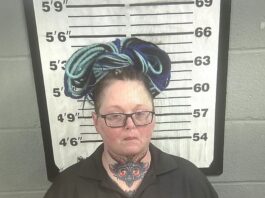 Cullman County woman facing animal cruelty charge after dog found starved to death