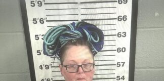 Cullman County woman facing animal cruelty charge after dog found starved to death