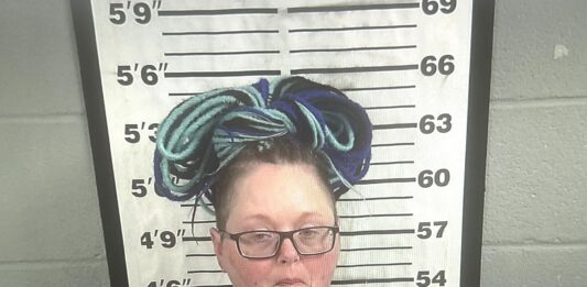 Cullman County woman facing animal cruelty charge after dog found starved to death
