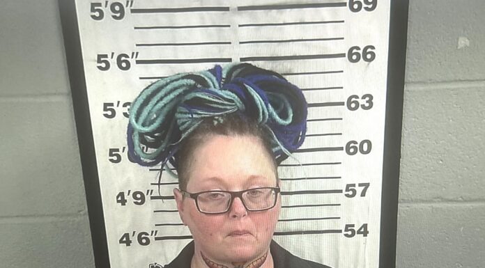 Cullman County woman facing animal cruelty charge after dog found starved to death