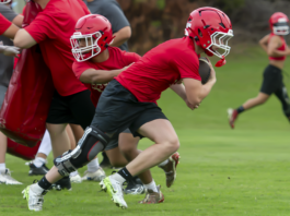PREP FOOTBALL: Vinemont aiming for 2026 postseason return behind recovered running back trio