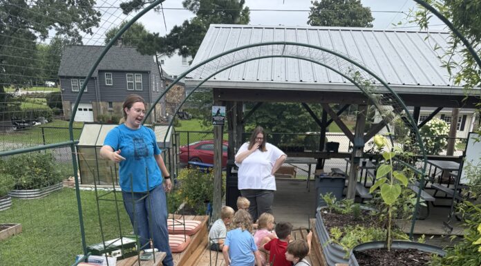 Summer is for STEM: Students learn science, engineering at East Elementary camp