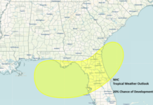 Area of Low Pressure Forecast to Form Over the Northeastern Gulf