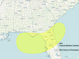 Area of Low Pressure Forecast to Form Over the Northeastern Gulf