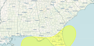 Area of Low Pressure Forecast to Form Over the Northeastern Gulf