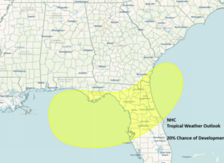 Area of Low Pressure Forecast to Form Over the Northeastern Gulf