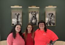 Suds ’n Scissors expands with new grooming, boarding facility