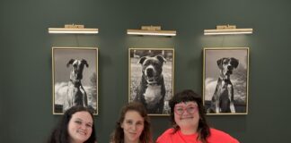 Suds ’n Scissors expands with new grooming, boarding facility