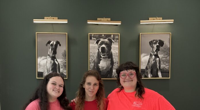 Suds ’n Scissors expands with new grooming, boarding facility