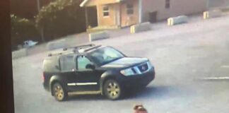Cat left outside Cullman County Animal Shelter sparks discussion over surrender rules