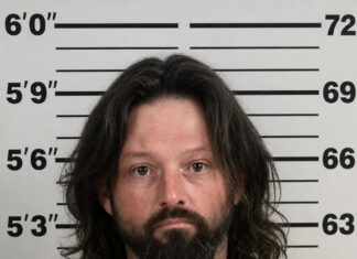 Morgan County man arrested in Cullman County livestock theft investigation