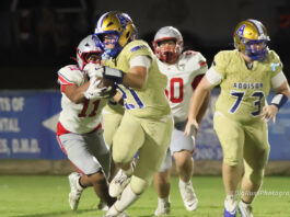 PREP FOOTBALL: Addison dominant in 53-6 jamboree win vs. Marion County
