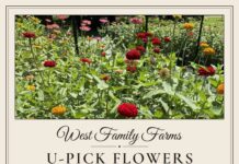 West Family Farms opens seasonal U-pick flower field in Eva