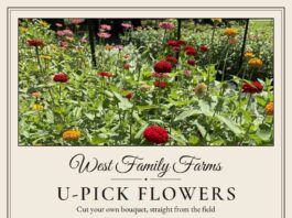 West Family Farms opens seasonal U-pick flower field in EvaÂ