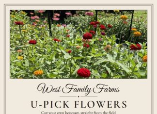 West Family Farms opens seasonal U-pick flower field in Eva