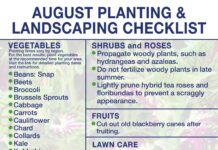 August marks start of fall gardening season in North Alabama