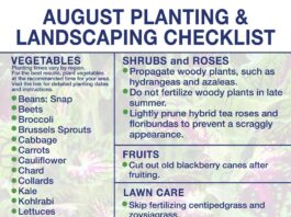 August marks start of fall gardening season in North Alabama
