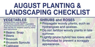 August marks start of fall gardening season in North AlabamaÂ