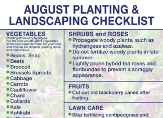 August marks start of fall gardening season in North Alabama