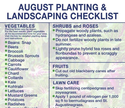 August marks start of fall gardening season in North Alabama
