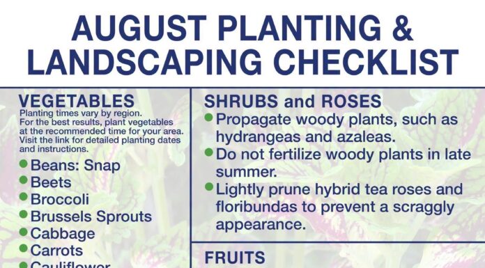 August marks start of fall gardening season in North Alabama