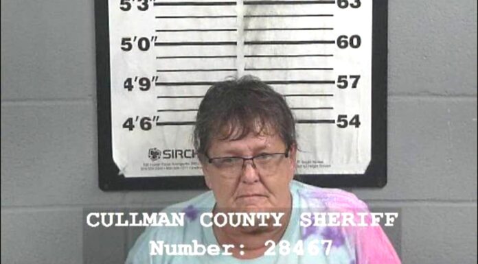 Traffic stop leads to fentanyl trafficking arrest in Cullman County