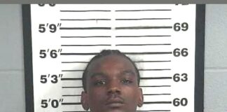 Georgia man arrested after 130 mph pursuit through Cullman