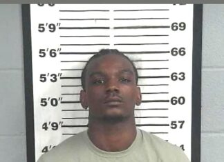 Georgia man arrested after 130 mph pursuit through Cullman