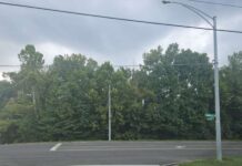 Cullman City Council announces $58M shopping center development and moreÂ