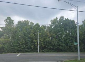 Cullman City Council announces $58M shopping center development and more