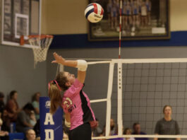 PREP VOLLEYBALL: Addison comes away with a commanding 3-0 win over Winston County