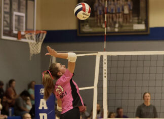 PREP VOLLEYBALL: Addison comes away with a commanding 3-0 win over Winston County