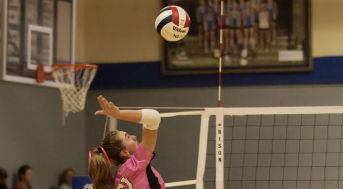 PREP VOLLEYBALL: Addison comes away with a commanding 3-0 win over Winston County