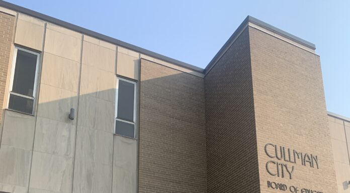 Cullman City School Board welcomes new teacher, Lacey K. H. Wood