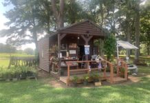 Local Business Spotlight: Sister-in-Law Produce