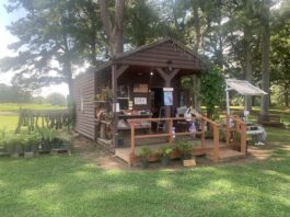 Local Business Spotlight: Sister-in-Law Produce