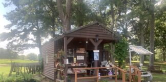 Local Business Spotlight:Â Sister-in-Law ProduceÂ