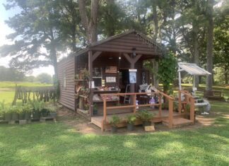 Local Business Spotlight: Sister-in-Law Produce