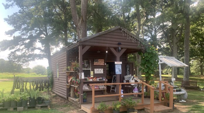 Local Business Spotlight: Sister-in-Law Produce