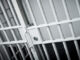 Arrests and Incidents reported August 3, 2026