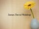 Obituary: James David Waldrop