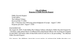 City records response confirms investigation into CPD time theft allegations, reveals Ethics Commission communication
