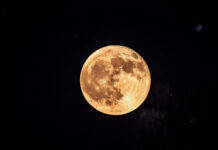 Op-Ed: Did you see the Buck Moon?