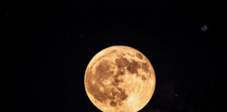 Op-Ed: Did you see the Buck Moon?