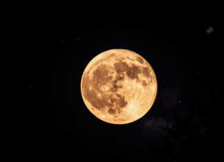 Op-Ed: Did you see the Buck Moon?