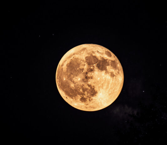 Op-Ed: Did you see the Buck Moon?